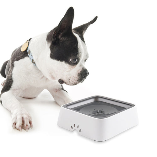 Adiraa™ Spill-Proof Pet Bowl